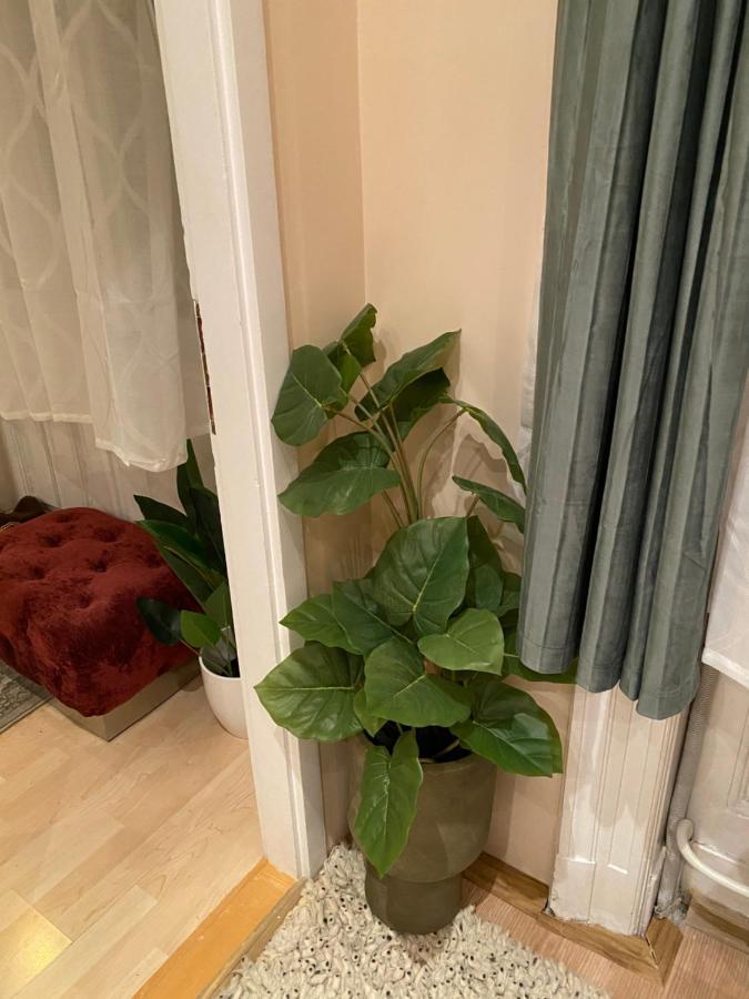 Jungle Story Apartment By Millenaris Park With Free Parking Budapest Exteriör bild
