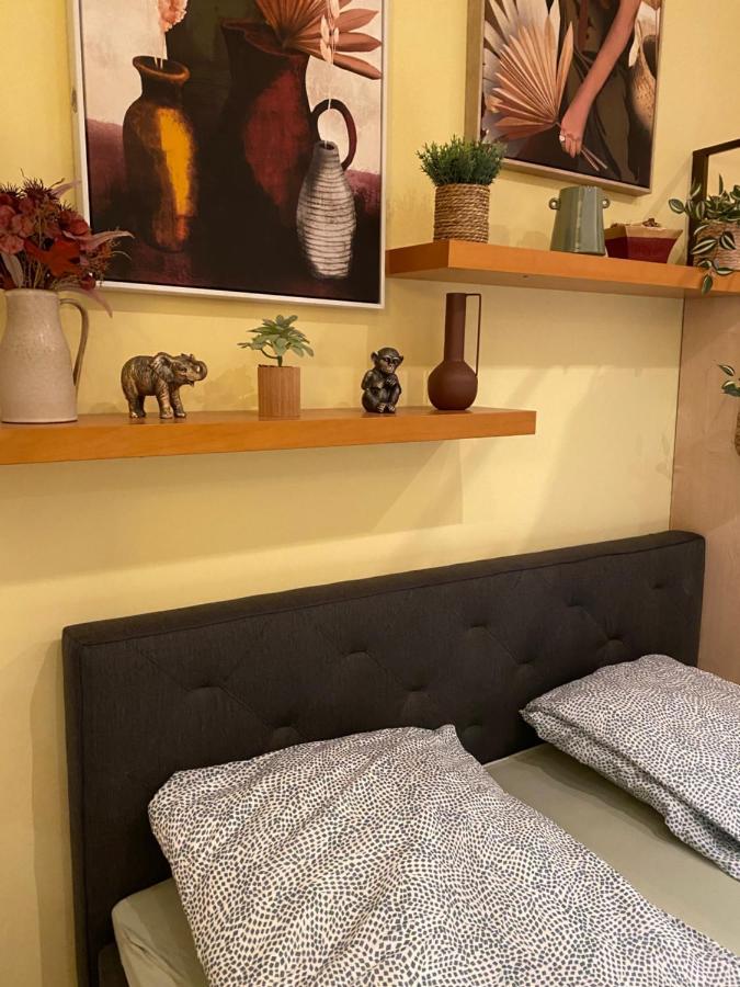 Jungle Story Apartment By Millenaris Park With Free Parking Budapest Exteriör bild