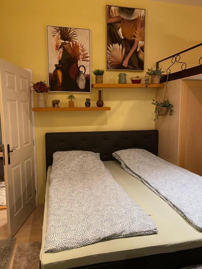 Jungle Story Apartment By Millenaris Park With Free Parking Budapest Exteriör bild